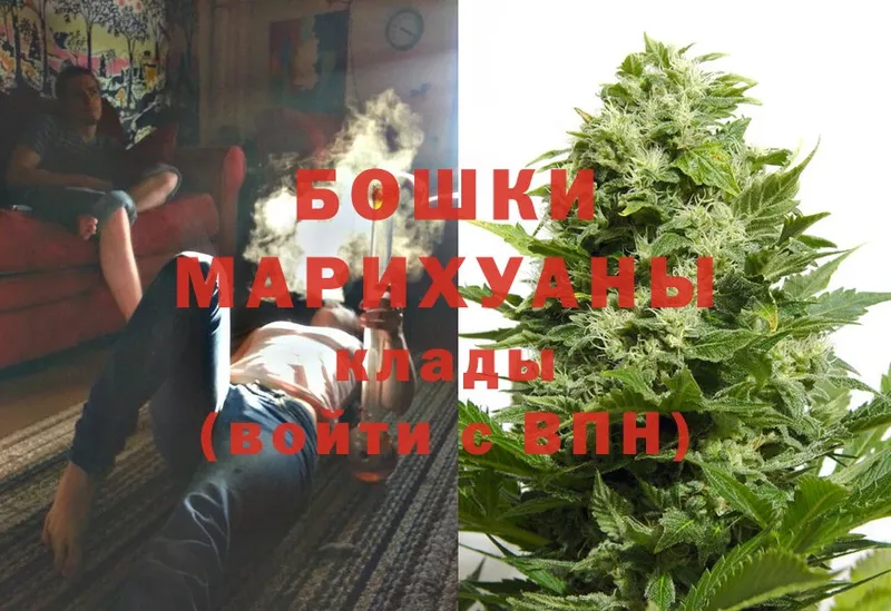 где найти наркотики  Петровск  Марихуана LSD WEED 